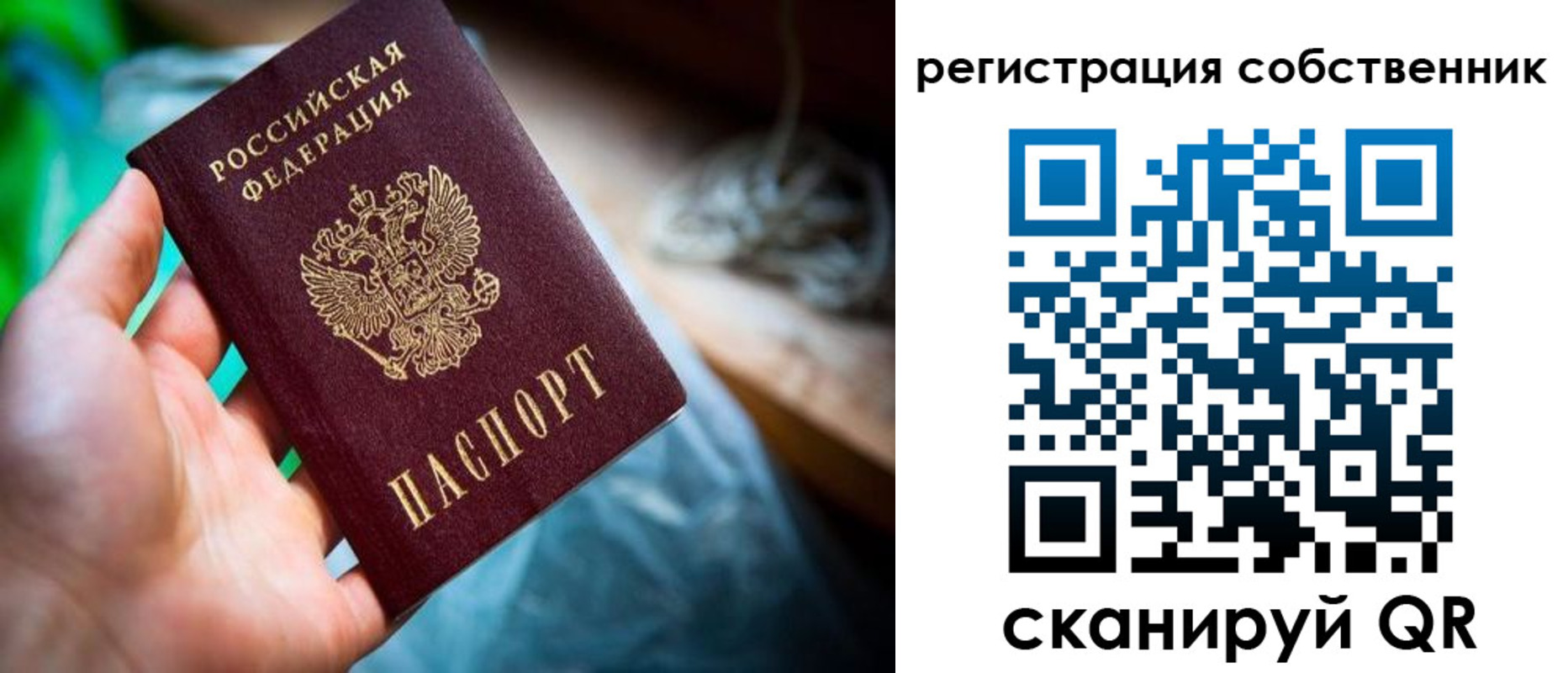 прописка гарантия в Челябинской области